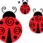 ladybird001