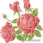 rose013a