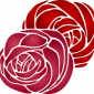 rose002